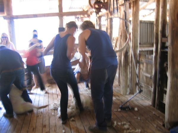 farm_december 06 021