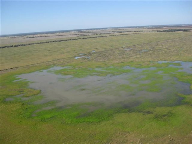 4 weeks later Jan 2011_683