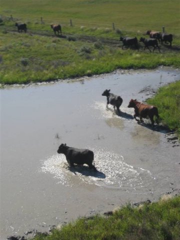 4 weeks later Jan 2011_686