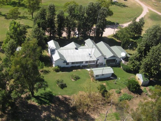 4 weeks later Jan 2011_702