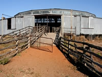Isis Downs Shearing Shed Isis_Downs_Shearing_Shed